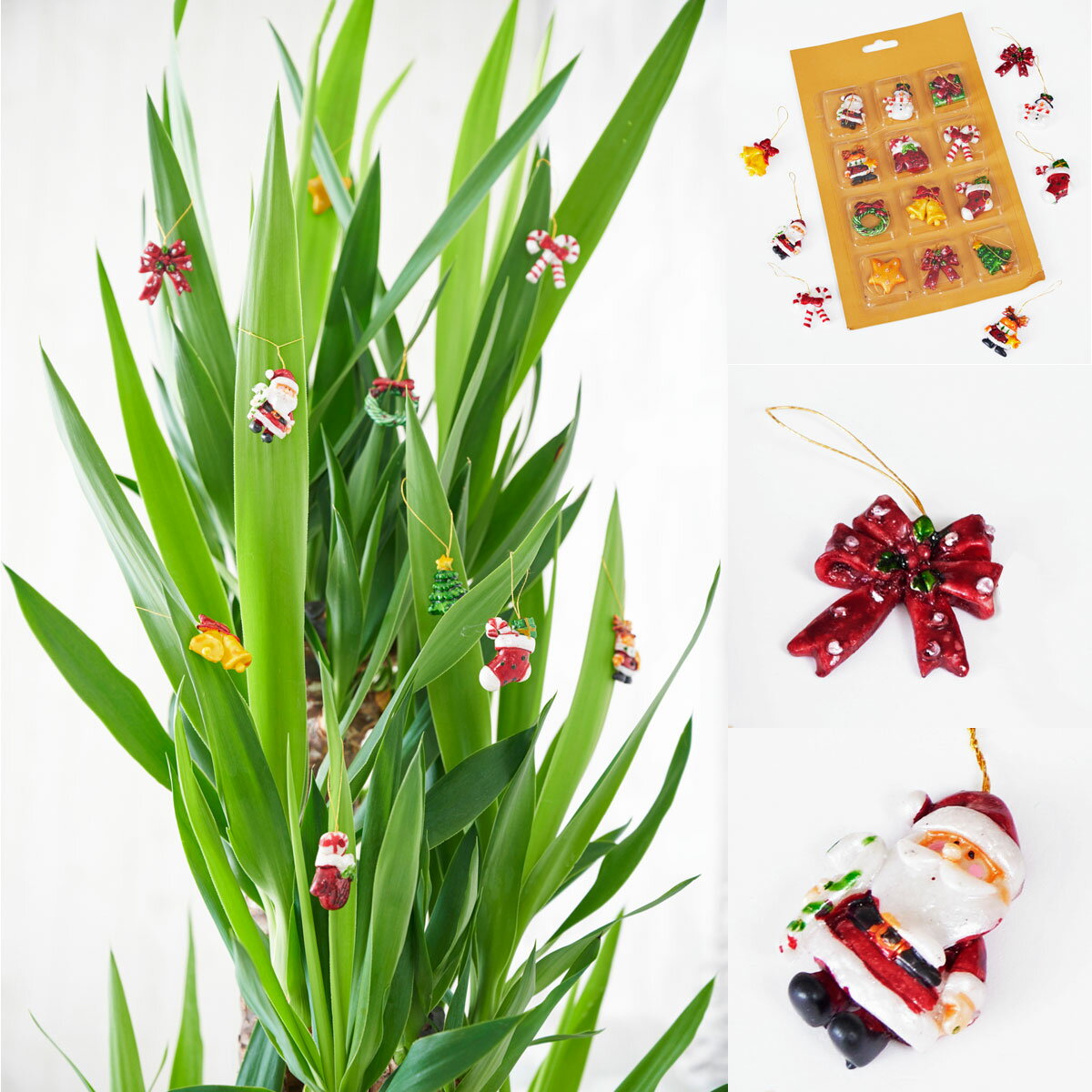 新しい到着 クリスマス限定仕様 クリスマスツリー観葉植物 ユッカ エレファンティペス 8号 バスケット鉢カバー 花言葉カード付お祝い 観葉植物 インテリアグリーン フラワーギフ Selabinui Co Il 新しい到着 クリスマス限定仕様 クリスマスツリー観葉植物 ユッカ エレファンティペス 8号 バスケット鉢カバー 花言葉カード付お祝い 観葉植物 インテリアグリーン フラワーギフ Selabinui Co Il
