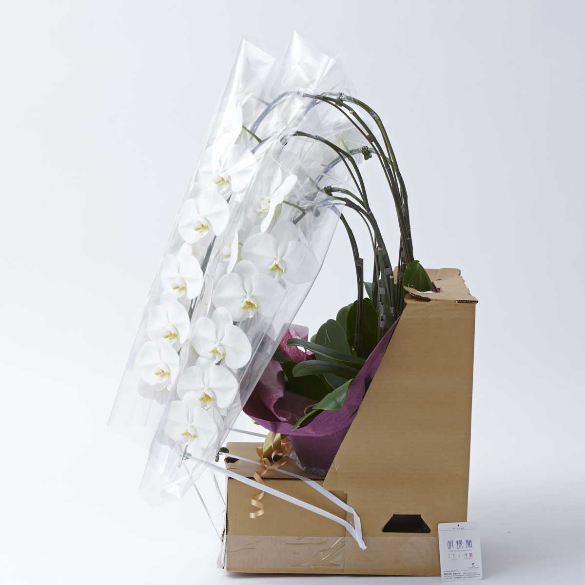 輸送中に箱の中でお花が動かない様に固定した状態で梱包しています。