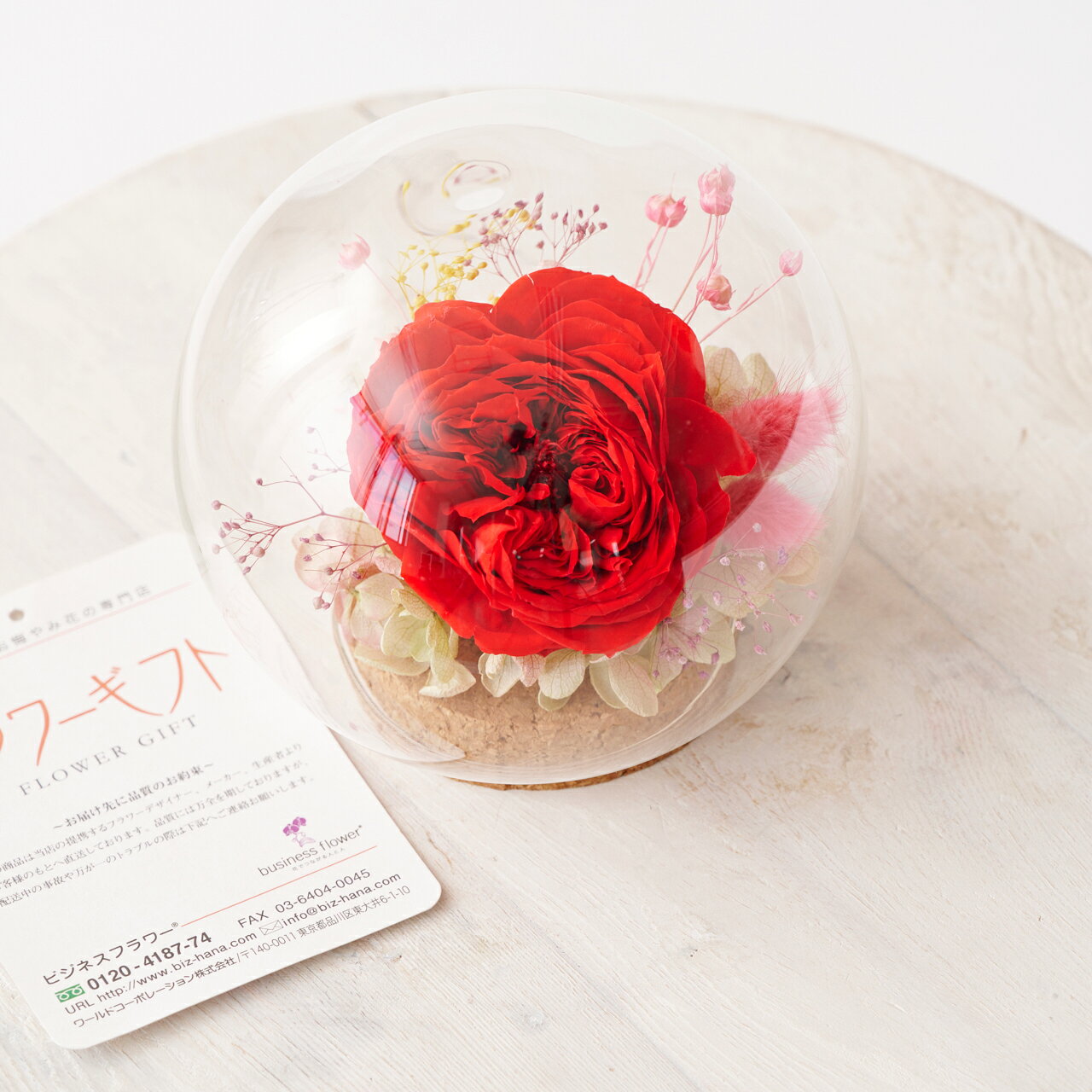 プリザーブドフラワー　ガラスドーム（ビビッドレッド）デザイナー お花 上品 ハイ...