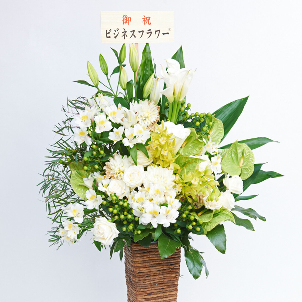 スタンド花 スクエアタイプ Lサイズ フレッシュグリーン 白 グリーン系 送料無料 開店祝い 開業祝い 開院祝い 開局祝い 周年祝い 移転祝い オープン記念 リニューアル 上棟祝い スタンド花 スクエアタイプ Lサイズ フレッシュグリーン 白 グリーン系 送料無料 開店祝い 開業祝い 開院祝い 開局祝い 周年祝い 移転祝い オープン記念 リニューアル 上棟祝い