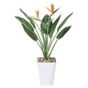 【送料無料】造花アート・観葉植物 ストレリチアS花付1.0お祝い アーティフィシャルフラワー 高級 光触媒 消臭 抗菌 防汚 空気浄化 フラワーギフト 贈答 プ...