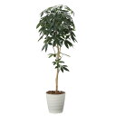 【送料無料】造花アート・観葉植物 デザインパキラ1.6お祝い アーティフィシャルフラワー 高級 光触媒 消臭 抗菌 防汚 空気浄化 フラワーギフト 贈答 プレゼ...