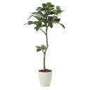 【送料無料】造花アート・観葉植物 ベンガル菩提樹1.35お祝い アーティフィシャルフラワー 高級 光触媒 消臭 抗菌 防汚 空気浄化 フラワーギフト 贈答 プレ...