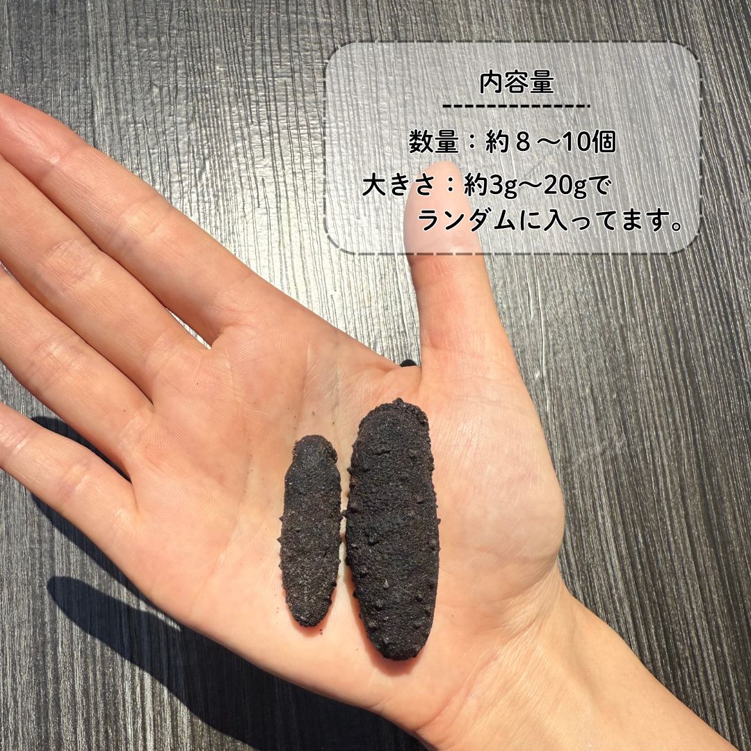 【岡山物産展クーポン対象】乾燥なまこ 赤なまこ 瀬戸内海産 岡山県産 100g 送料無...
