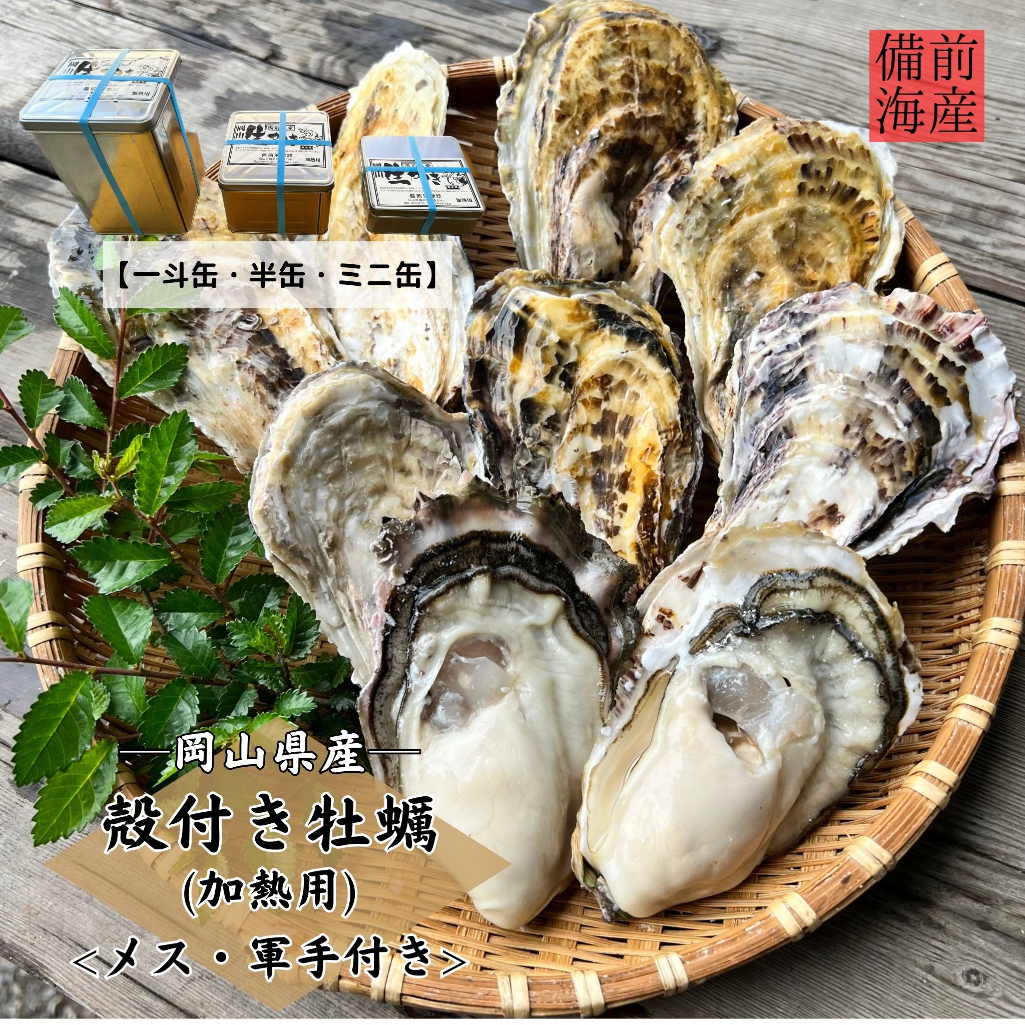 【12月頃販売開始予定】殻付き牡蠣 加熱用 送料無料 岡山県産 お歳暮 一斗缶 半缶 ミニ缶 缶入り ...