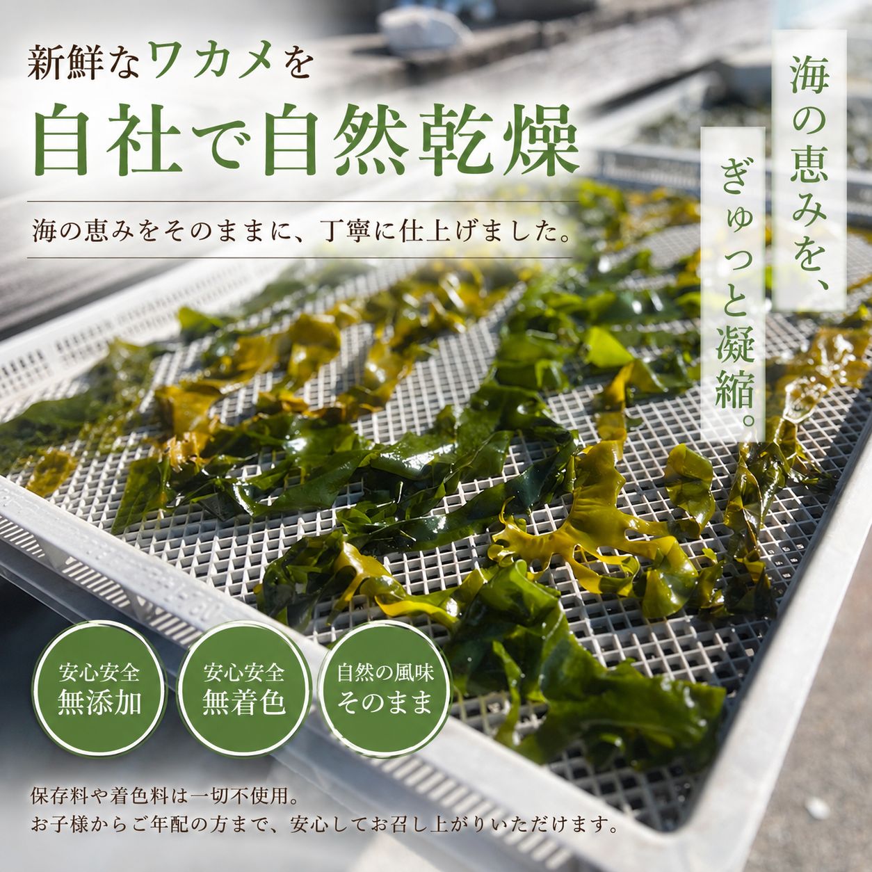 【数量限定】1000円ポッキリ 乾燥 カット わかめ 瀬戸内海産 60g (30g × 2袋) 自家...
