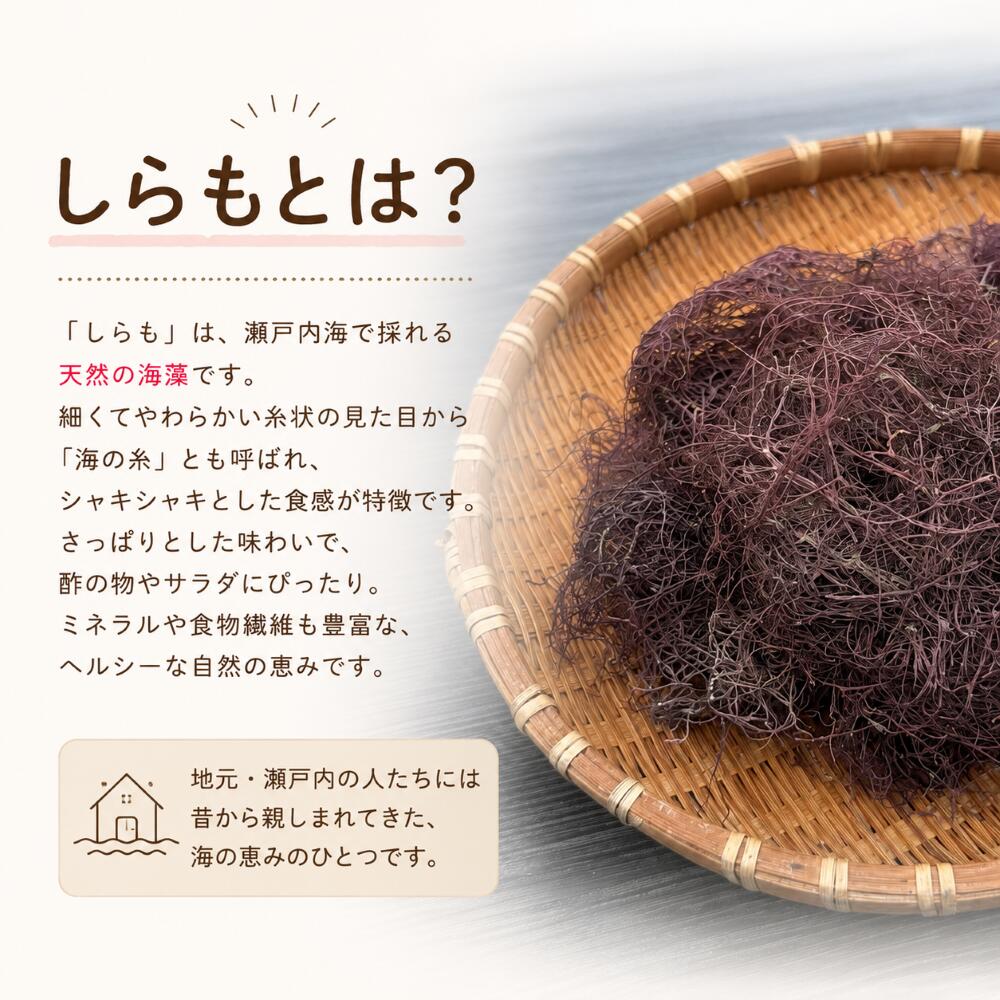 干しエビ 65g しらも 80g 酢の物 セット 瀬戸内海産 常温発送 海藻 乾燥 国産 お試...