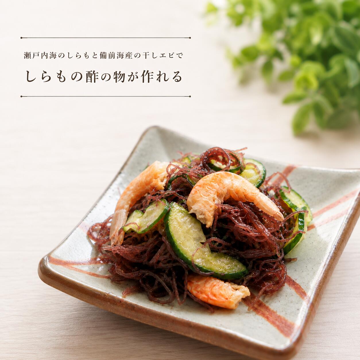 干しエビ 65g しらも 80g 酢の物 セット 瀬戸内海産 常温発送 海藻 乾燥 国産 お試...