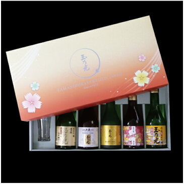 あす楽 送料無料 日本酒 最高金賞受賞酒入り豪華版 自慢のグラス付飲み比べセット TNY-5 結婚式誕生日ギフト贈り物お祝京都土産お花見母の日父の日