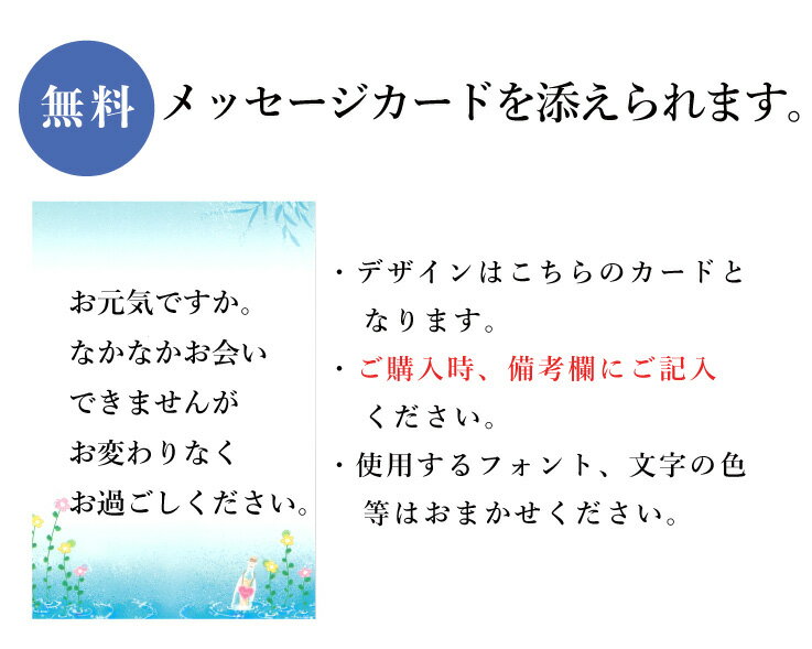 ギフト玉乃光日本酒純米吟醸KARAKUCHI720ml辛口蔵元直送贈答用純米酒贈答御祝贈り物プレゼント京都あす楽