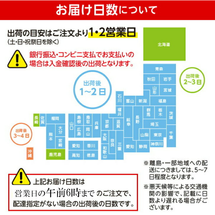 ポカリスエット粉末 10L用×10個セット 10リットル 740g