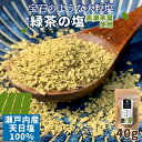 瀬戸内産 【緑茶の塩】 にがり衞門の塩 40g×10袋セット 天日塩 高瀬茶葉 大粒 結晶 伝統 CO2ゼロ製法 グルメ 調味料 塩 ソルト 天ぷら 刺身 釣り 肉 焼肉 BBQ アウトドア キャンプ ソロキャン キャンプグルメ 焼魚 緑茶の塩【四国物産】仁尾興産