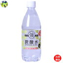 友桝飲料 強炭酸水 レモン　500mlペットボトル×24本入本2ケース K&M