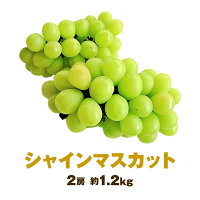 岡山産 シャインマスカット 2房 約1.2kg 家庭用 ぶどう ブドウ 葡萄 種無し シャインマスカット 産地直送