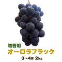 【8月20日頃から出荷予定】岡山県産オーロラブラック贈答用 3~4房入り(約2kg)ぶどう ブドウ 種無しぶどう葡萄