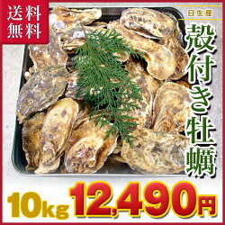 ■ 岡山県 日生産 牡蠣 | 10kgパック、■ナイフ、軍手付■送料無料!一斗缶 サイズBBQ、お花見にも超オススメ!!牡蠣/殻付き/カキ/かき/殻付き牡蠣/海鮮バーベキュー
