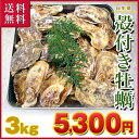 【殻付き生牡蠣】 岡山県 日生産 牡蠣 | 家庭用3kgパック■ナイフ、軍手付き■送料無料／加熱用バーベキュー、BBQ、牡蠣／殻付き／カキ／殻付き牡蠣／海鮮【smtb-kd】【fsp2124】