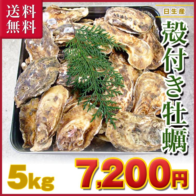 ■【殻付生かき】 岡山県 日生産 牡蠣 | 5kgパック、■ナイフ、軍手付■送料無料！牡蠣／殻付き／カキ／殻付き牡蠣／海鮮バーベキュー、BBQ、お花見にも超オススメ！！ 【smtb-kd】【fsp2124】