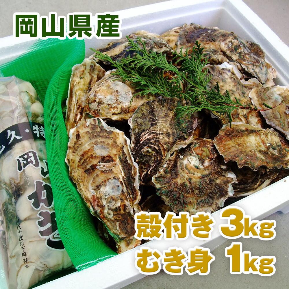 【2月20日ポイント5倍】生カキ欲張りセット 岡山県 邑久産曙牡蠣 むき身1kg 殻付35個(約3kg)以上 ナイフ 軍手付き お歳暮 牡蠣 殻付き かき カキ 牡蛎 殻付き牡蠣 生食可 生牡蠣 海鮮 バーベキュー、BBQ、 【smtb-kd】【fsp2124】のサムネイル