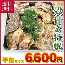 ■ 岡山県 日生産 牡蠣 | 10kgパック、■ナイフ、軍手付■送料無料!一斗缶 サイズBBQ、お花見にも超オススメ!!牡蠣/殻付き/カキ/かき/殻付き牡蠣/海鮮バーベキュー