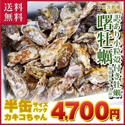 ■ 岡山県 日生産 牡蠣 | 10kgパック、■ナイフ、軍手付■送料無料!一斗缶 サイズBBQ、お花見にも超オススメ!!牡蠣/殻付き/カキ/かき/殻付き牡蠣/海鮮バーベキュー