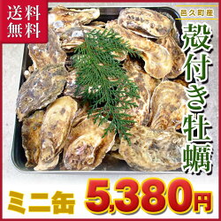■ 岡山県 日生産 牡蠣 | 10kgパック、■ナイフ、軍手付■送料無料!一斗缶 サイズBBQ、お花見にも超オススメ!!牡蠣/殻付き/カキ/かき/殻付き牡蠣/海鮮バーベキュー