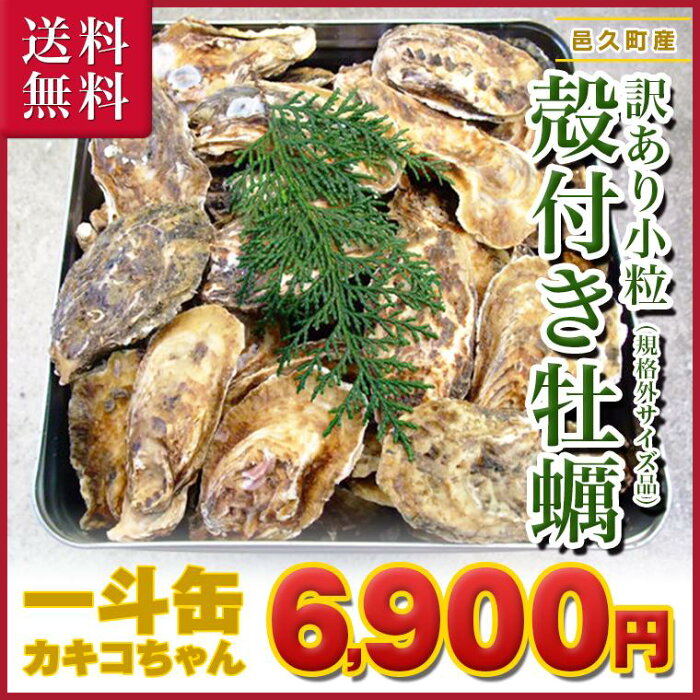 訳あり小粒殻付き牡蠣 一斗缶250個 10kg 以上 岡山県 邑久産 曙牡蠣 規格外サイズ品 カキコちゃん 送料無料 生かき 殻付き カキ 牡蠣一斗缶 生食可 訳あり 海鮮 バーベキュー q 牡蠣 訳あり 別れるときには お金がいります 訳あり小粒殻付き牡蠣 一斗缶250個 10kg 以上 岡山県 邑久産 曙牡蠣 規格外サイズ品 カキコちゃん 送料無料 生かき 殻付き カキ 牡蠣一斗缶 生食可 訳あり 海鮮 バーベキュー q 牡蠣 訳あり 別れるときには お金がいります