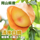 【7月下旬旬頃から出荷予定】岡山県産 清水白桃 贈答用大玉 化粧箱入り 1.5kg(5玉〜6玉入) 桃 白桃 もも モモ 送料無料 お中元 御中元 ギフト(4)