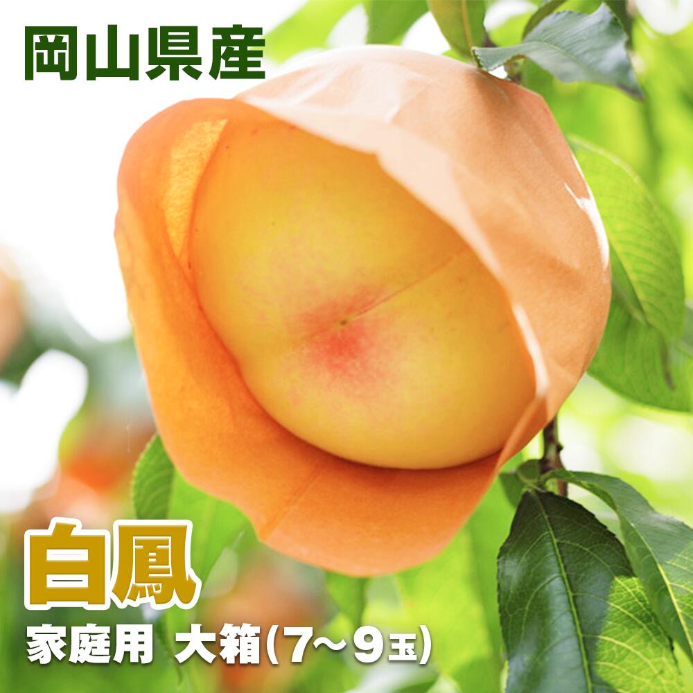 【7月7日頃から発送開始】岡山県産 白鳳 家庭用2kg箱(7玉〜9玉入) 桃 白桃 もも モモ 送料無料 進物 お中元 御中元 ギフト