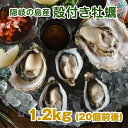 隠岐の島産 殻付き牡蠣 OKI ISLAND OYSTER 1.2kg (約60g×20個前後)生食用 マガキ 三倍体 真牡蠣 牡蠣 カキ かき 殻付…