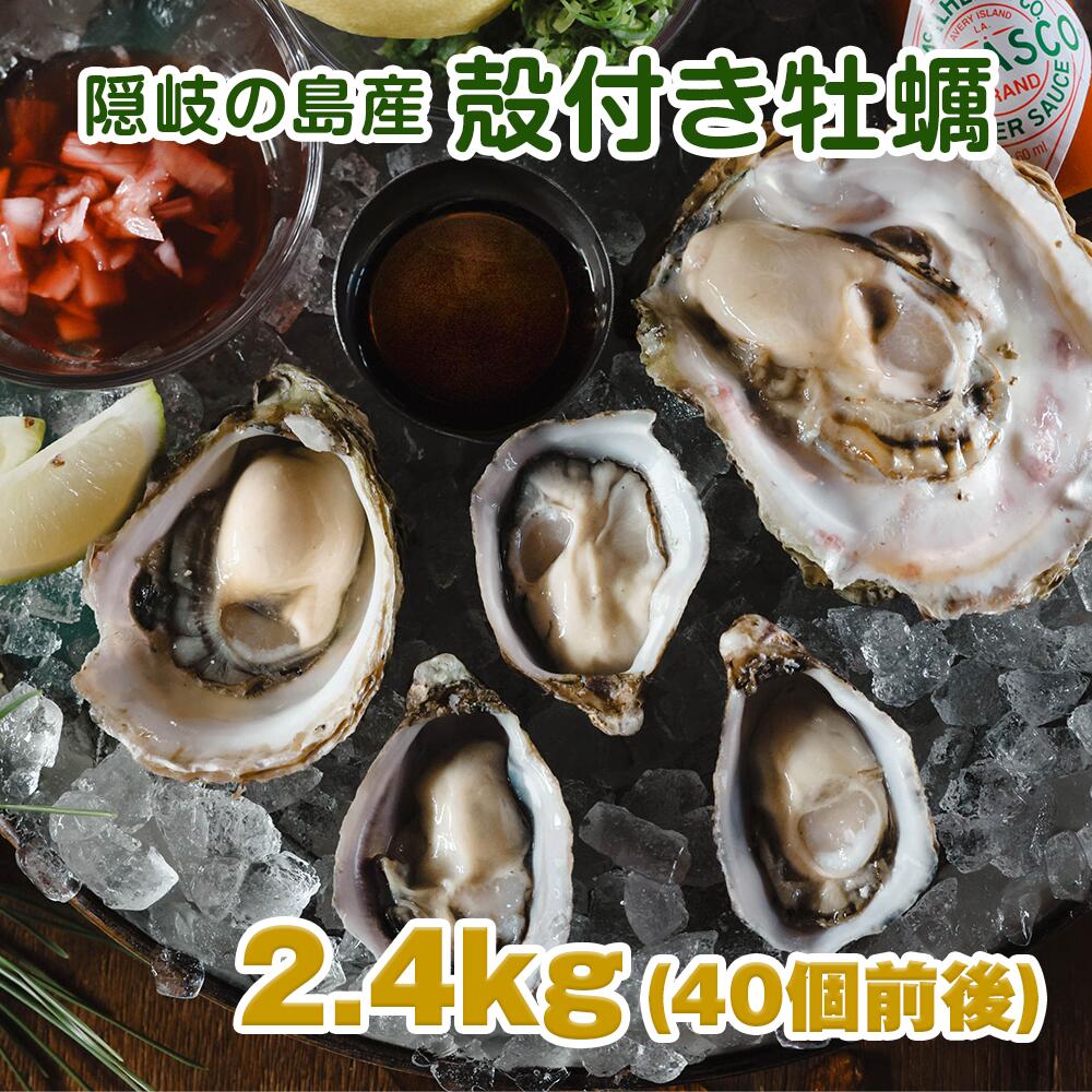 【5月20日ポイント5倍】隠岐の島産 殻付き牡蠣 OKI ISLAND OYSTER 2.4kg (約60g×40個前後)生食用 マガキ 三倍体 真牡蠣 牡蠣 カキ かき 殻付き牡蠣 岩ガキ 岩牡蠣