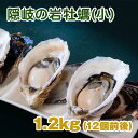 隠岐の島産 岩牡蠣(一口サイズ)1.2kg (約100g×12個前後) ナイフ 軍手付 生食用 岩ガキ 岩がき 牡蠣 カキ かき 殻付き…