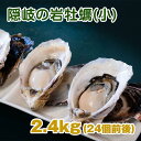 隠岐の島産 岩牡蠣(一口サイズ) 2.4kg (約100g×24個前後) ナイフ 軍手付 生食用 岩ガキ 岩がき 牡蠣 カキ かき 殻付…