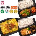 BizSPOT ヴィーガン ベジタリアン 冷凍弁当 ハラール認証取得 電子レンジ 冷凍総菜 宅配 一人暮らし 健康 簡単 電子レンジお試し3食Cセット