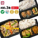 BizSPOT ヴィーガン ベジタリアン 冷凍弁当 ハラール認証取得 電子レンジ 冷凍総菜 宅配 一人暮らし 健康 簡単 電子レンジお試し3食Aセット