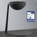 茶道具 セット 茶道 茶こし 茶 フィルター フェア カップ 一 体型 抽出 器具 茶器 小型 グリーンタンジェリン 特製 ティーポット