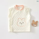 ベビー服 春秋 ベビー ベスト 秋冬 スタイル 春秋 アウター トップス A級 子供用 キルティング 暖かい コート 6月から 12月