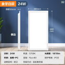 LED 照明 Bull 300 x 600 一 体型 天井 アルミ ガセット ランプ 30 60 浴室 キッチン LED フラット パネル 照明