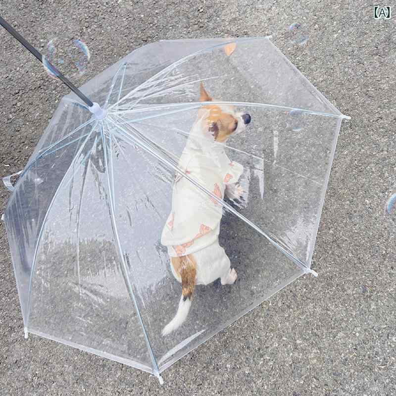 ѡ쥤󥳡ȡ ڥå     å  쥤󥳡  澮  Ʃ ƥǥ