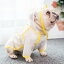 english bulldogの画像