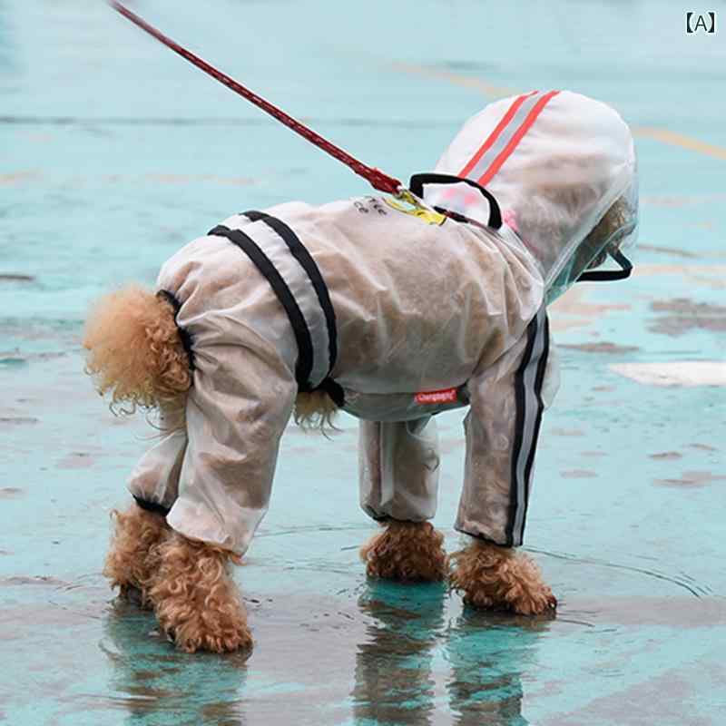 ѡ쥤󥳡ȡ  쥤󥳡 ƥǥ ӥ    ­ ɿ 륤󥯥롼 ݥ ڥå Ҹ  ...