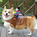 犬が馬に乗って変身してネットで有名なペットとして楽しい牛乳騎士のコーギーとテディベアの楽しいシバ犬がな犬用衣服を身につけています。