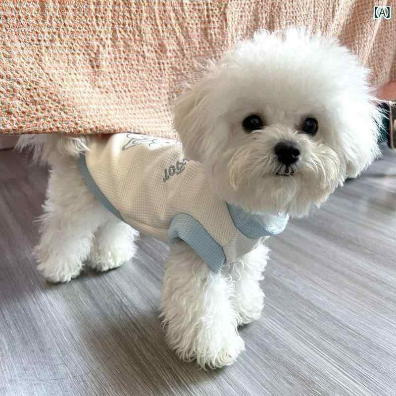  ڥå 襤  ڥå Ҹ   ʥ ޥ ݥ˥ ƥǥ ӥ   æ ɻ