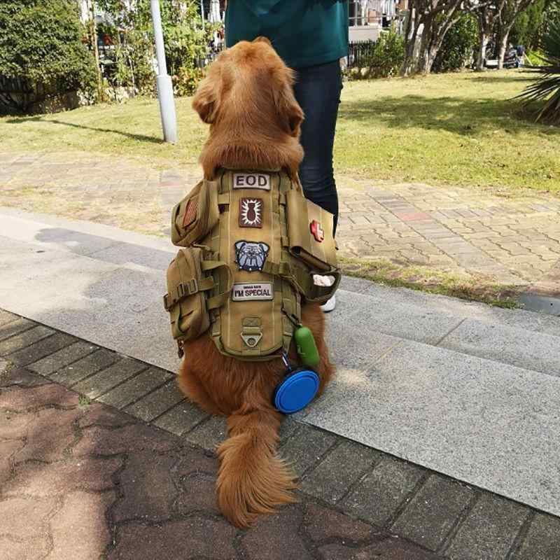 楽天市場】猟犬 用 ベストの通販 楽天市場】猟犬 用 ベストの通販