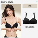 ブラ 女の子 思春期 シークレットワールド フロント バックル 下着 レディース小 胸 ギャザー 垂れ 防止 シームレス 美 背中 ブラジャー 2025