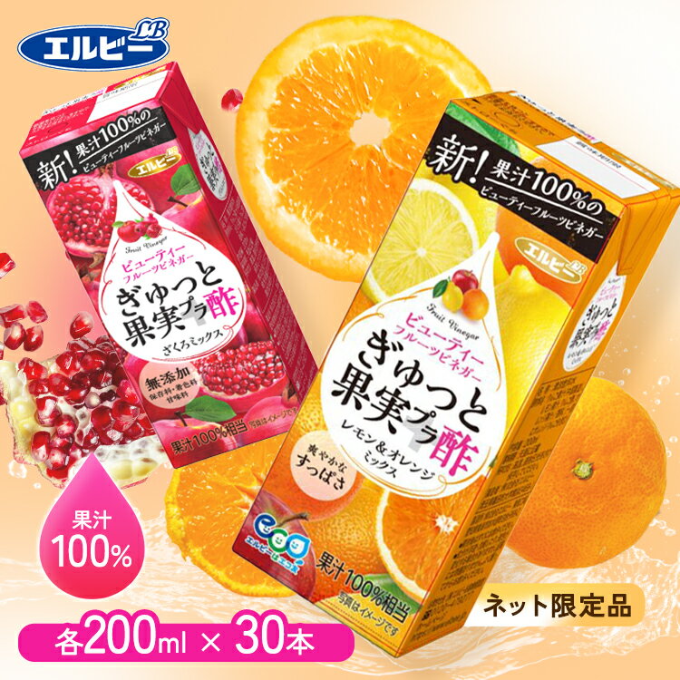 フルーツビネガー 紙パック 200ml 30本 りんご酢 ぎゅっと果実＋酢 200ml 無添加 ザクロ 果実酢 酢 果汁100％ リンゴ酢 果実 無添加 少容量 エルビー ざくろミックス 白ぶどう ピーチミックス レモン＆オレンジ【D】 [2209LP]