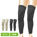 膝 サポーター ひざサポーター 皮膚感覚ひざサポーターnaoss2枚組...(4)