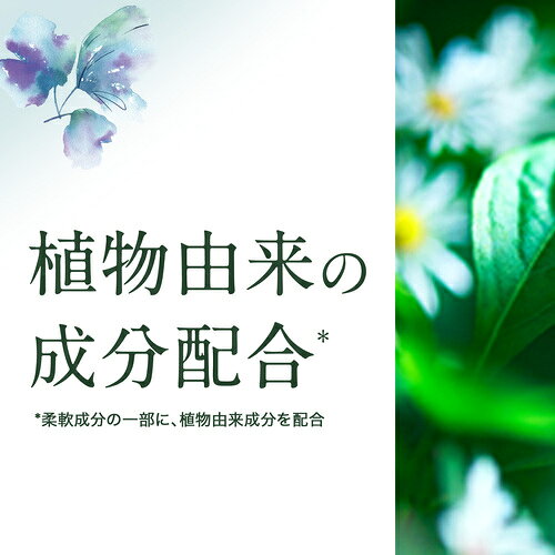 大人のさらさ 洗濯洗剤 ジェル ホワイトティー＆フローラルの香り 本体 600g 洗濯洗剤 洗剤 さらさ サラサ ホワイトティー＆フローラル 本体 部屋干し ジェル P&G 洗濯 さらさ