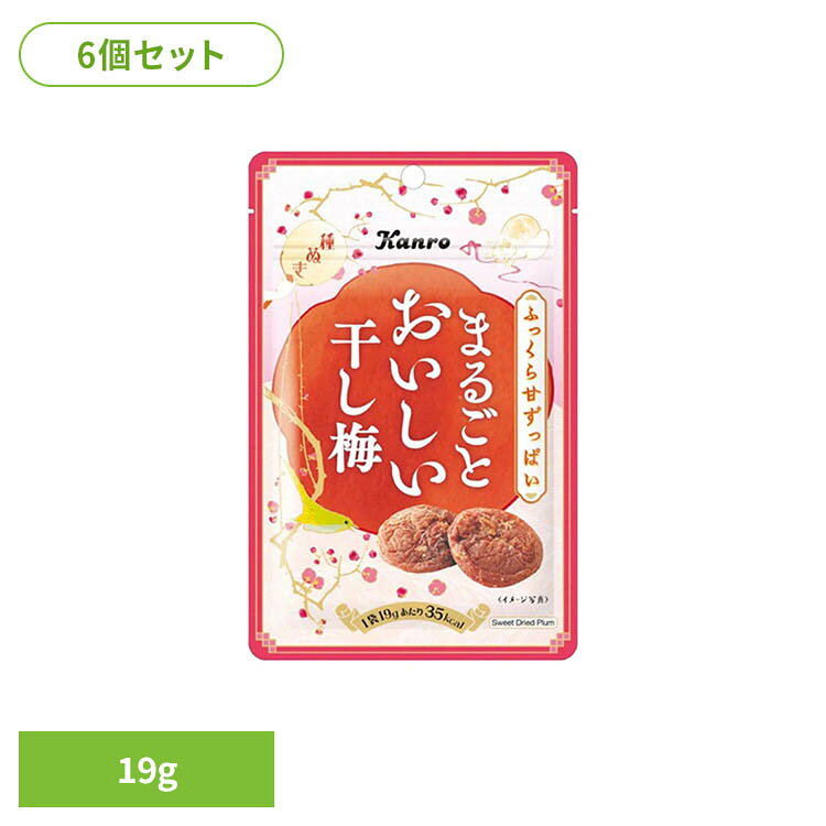 【6個】まるごとおいしい干し梅 19g カンロ かんろ kanro 梅 梅干し お菓子 おやつ 間食 種なし まとめ買い
