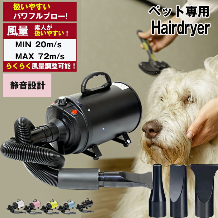 44％割引オレンジ系【ギフト】 速乾 業務用 ハイパワー ブロー ペットドライヤー 小型犬 大型犬 ブラック 犬用品 ペット用品オレンジ系